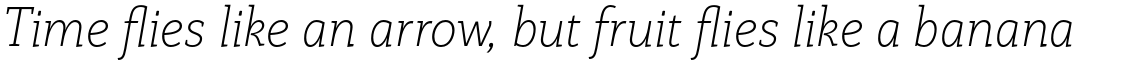 Rogliano UltraLight Italic