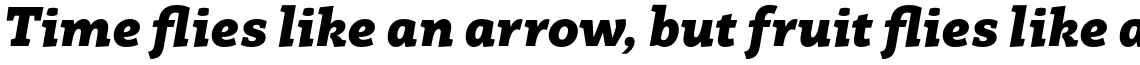 Rogliano Black Italic