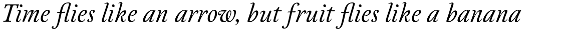 Neftali Pro Thin Italic