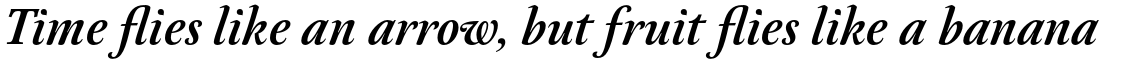 Neftali Pro Regular Italic