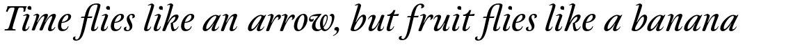 Neftali Pro Medium Italic