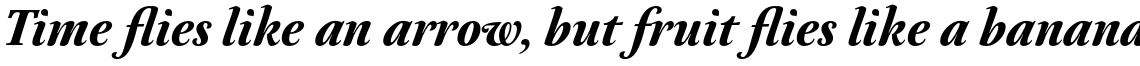 Neftali Pro Bold Italic