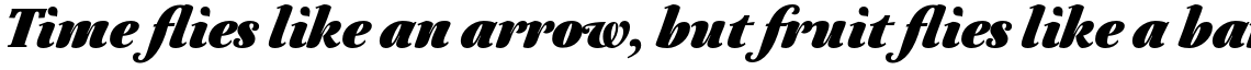 Neftali Pro Black Italic