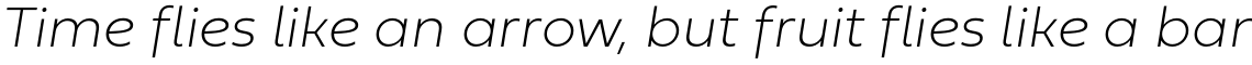 Fieldwork Hair Italic