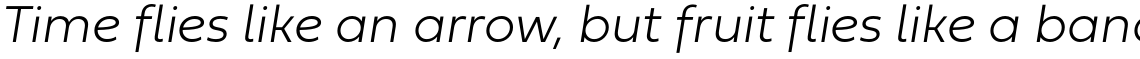 Fieldwork Thin Italic