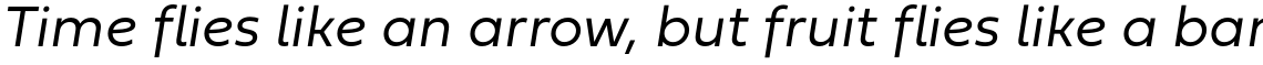 Fieldwork Light Italic