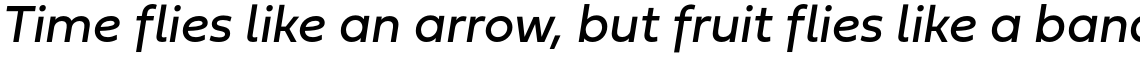 Fieldwork Regular Italic