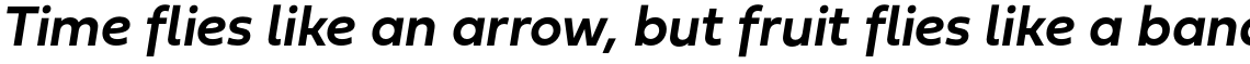 Fieldwork DemiBold Italic