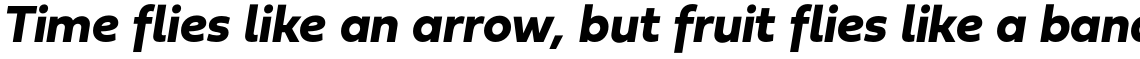 Fieldwork Bold Italic