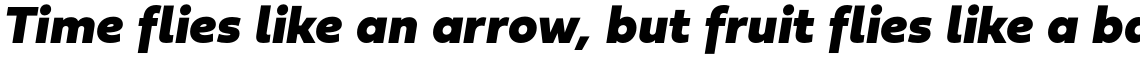 Fieldwork Black Italic