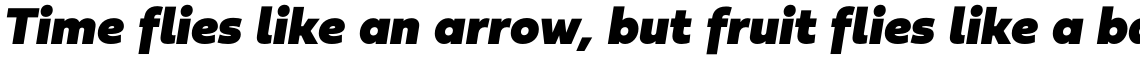 Fieldwork Fat Italic