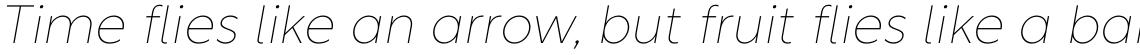 Rustica Thin Italic