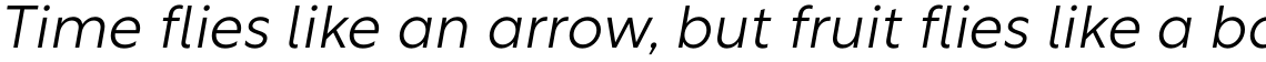 Rustica Light Italic