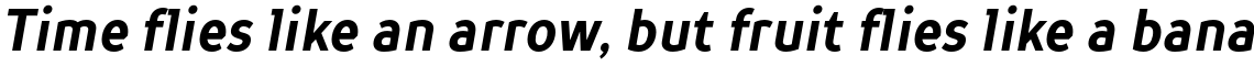 TT Prosto Sans Condensed Bold Italic