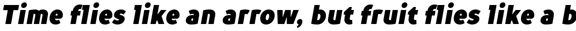 TT Prosto Sans Condensed Black Italic