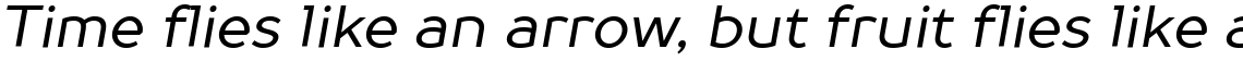 TT Prosto Sans Italic