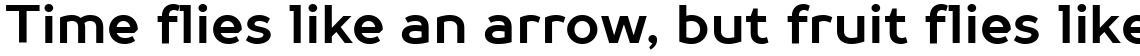 TT Prosto Sans Bold