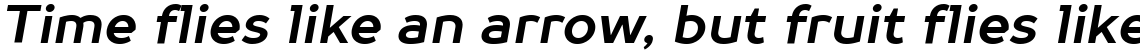 TT Prosto Sans Bold Italic