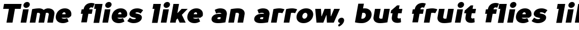 TT Prosto Sans Black Italic