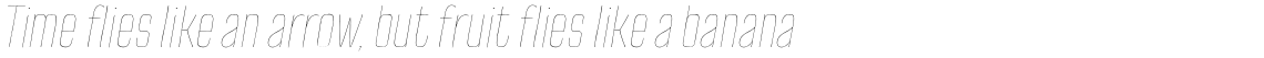 TT Cottons Thin Italic