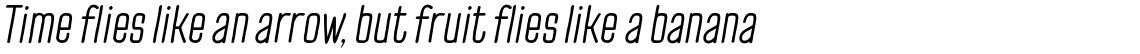 TT Cottons Italic