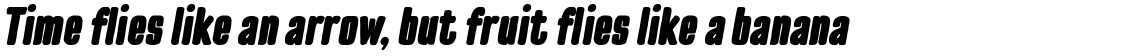 TT Cottons Black Italic