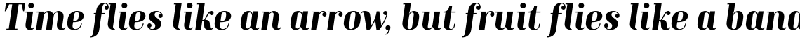 TT Moons Bold Italic