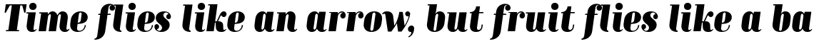 TT Moons Black Italic