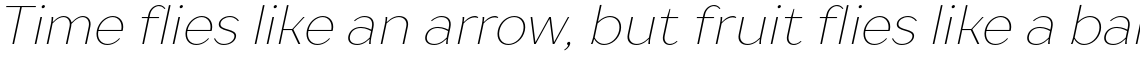 TT Drugs Thin Italic