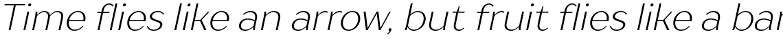 TT Drugs Light Italic