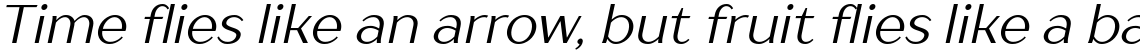 TT Drugs Regular Italic