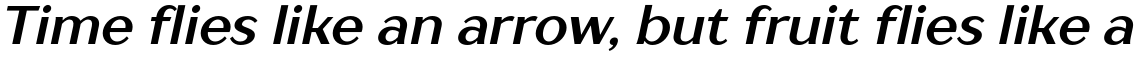 TT Drugs Bold Italic