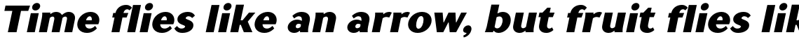 TT Drugs Black Italic