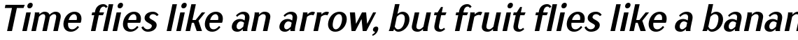 TT Drugs Condensed Bold Italic