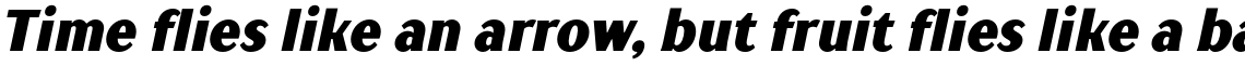 TT Drugs Condensed Black Italic