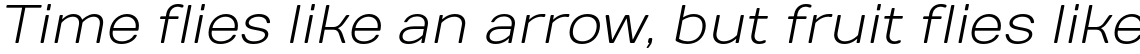 TT Days Sans Light Italic