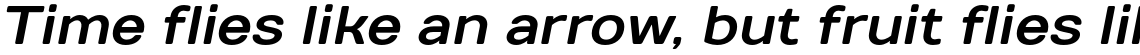 TT Days Sans Bold Italic