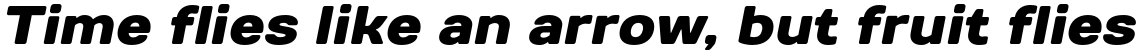 TT Days Sans Black Italic