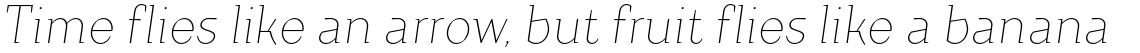 TT Crimsons Thin Italic