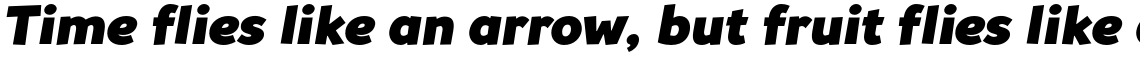Souses Black Italic