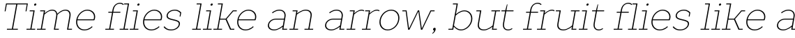 TT Slabs Thin Italic