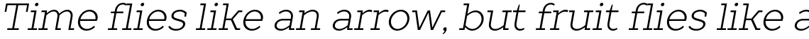 TT Slabs Light Italic