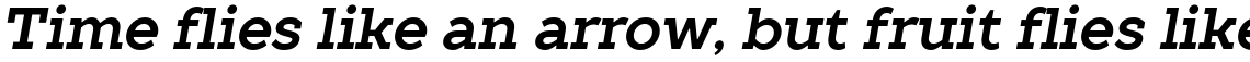 TT Slabs Bold Italic