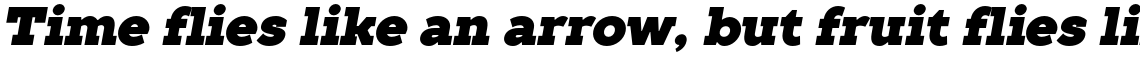 TT Slabs Black Italic