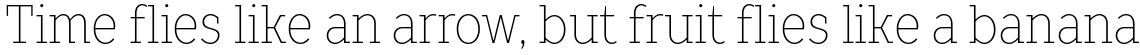 TT Slabs Condensed Thin
