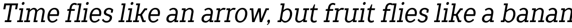 TT Slabs Condensed Regular Italic