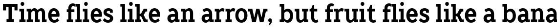 TT Slabs Condensed Bold