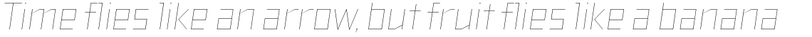 TT Bricks Hairline Italic