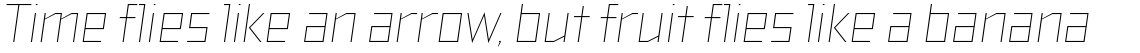 TT Bricks Thin Italic