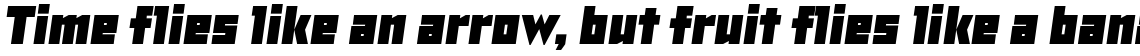 TT Bricks Black Italic